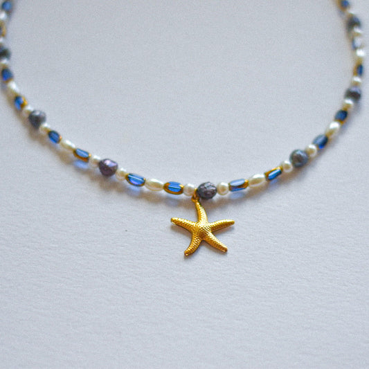 Star star fish